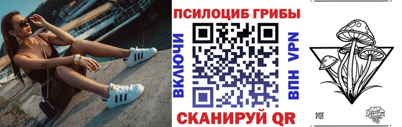 Псилоцибиновые грибы Magic Shrooms хочу наркоту Старица